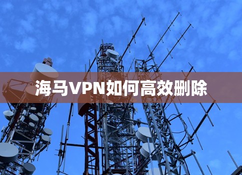 海马VPN如何高效删除