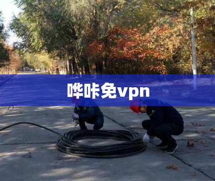 哗咔免vpn