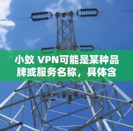 小蚁 VPN可能是某种品牌或服务名称，具体含义需要更多信息来明确。如果您指的是国外使用VPN服务，以下是一些通用的VPN推荐