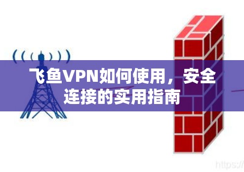 飞鱼VPN如何使用，安全连接的实用指南