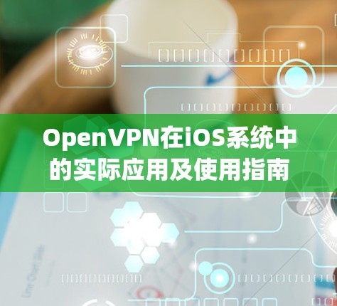 OpenVPN在iOS系统中的实际应用及使用指南