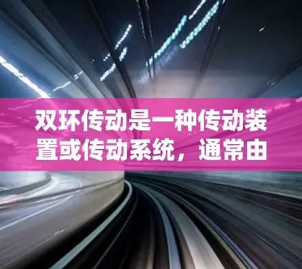 双环传动是一种传动装置或传动系统，通常由两个或多个传动环组合而成，用于传递动力。双环传动具有以下特点