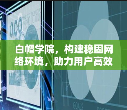 白帽学院，构建稳固网络环境，助力用户高效使用VPN