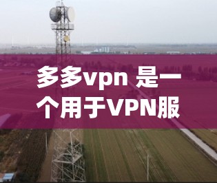 多多vpn 是一个用于VPN服务的平台，提供了一个简单易用的解决方案，允许用户在无需安装软件的情况下访问远程服务器。多多vpn 提供了多种VPN类型，包括点对点、端到端和端到端（E2E）等
