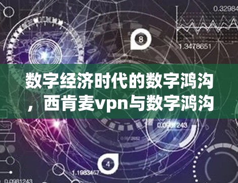 数字经济时代的数字鸿沟，西肯麦vpn与数字鸿沟的对话与解决方案