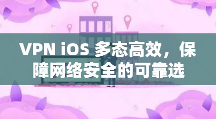 VPN iOS 多态高效，保障网络安全的可靠选择