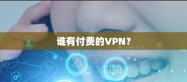 谁有付费的VPN？