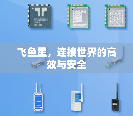 飞鱼星，连接世界的高效与安全