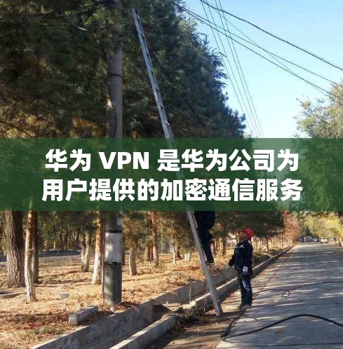 华为 VPN 是华为公司为用户提供的加密通信服务，专为华为设备和用户设计。以下是关于华为 VPN 的详细信息