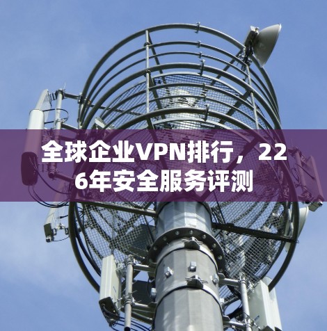 全球企业VPN排行，226年安全服务评测