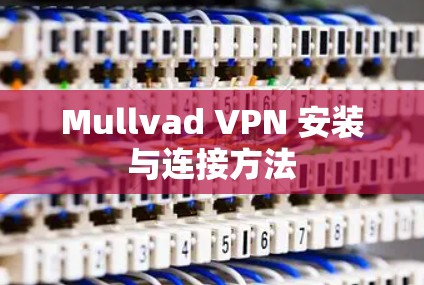 Mullvad VPN 安装与连接方法