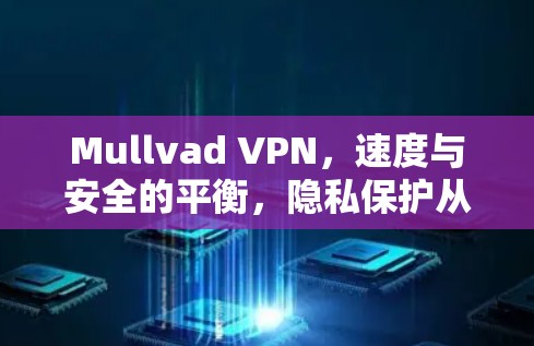 Mullvad VPN，速度与安全的平衡，隐私保护从未被忽视