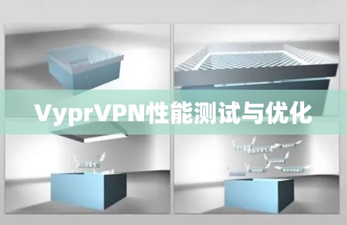 VyprVPN性能测试与优化