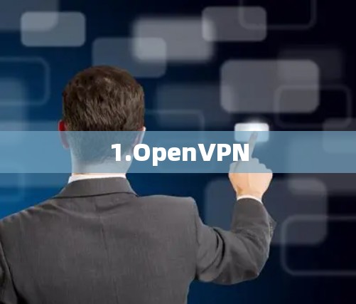1.OpenVPN