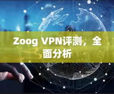 Zoog VPN评测，全面分析
