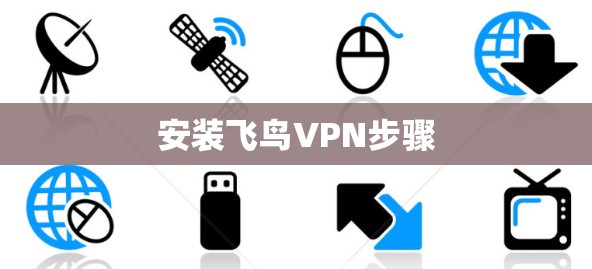 安装飞鸟VPN步骤