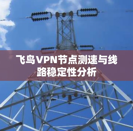 飞鸟VPN节点测速与线路稳定性分析