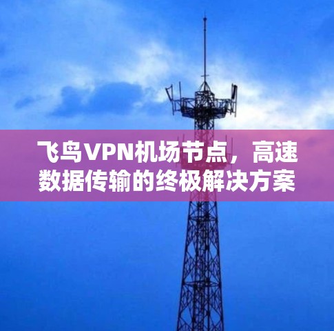 飞鸟VPN机场节点，高速数据传输的终极解决方案