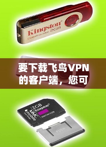 要下载飞鸟VPN的客户端，您可以按照以下步骤进行操作