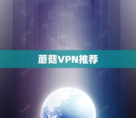蘑菇VPN推荐