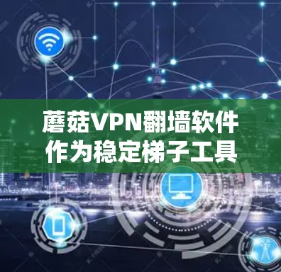 蘑菇VPN翻墙软件作为稳定梯子工具，其核心功能包括输入IP地址、选择协议、翻墙功能、安全设置和稳定性能。以下是对该软件的分析和总结