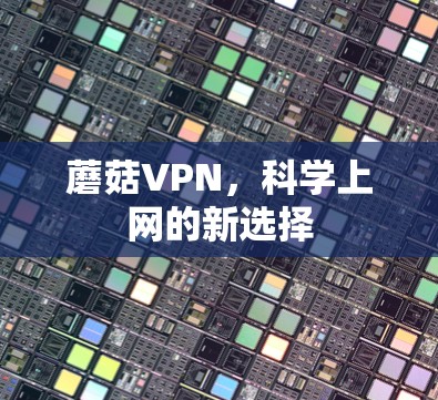 蘑菇VPN，科学上网的新选择