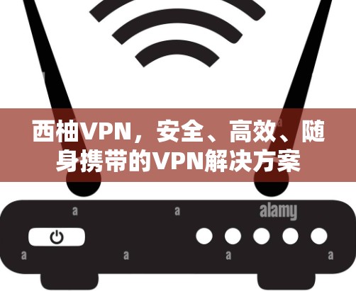 西柚VPN，安全、高效、随身携带的VPN解决方案