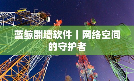 蓝鲸翻墙软件｜网络空间的守护者