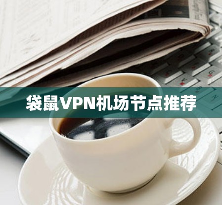 袋鼠VPN机场节点推荐