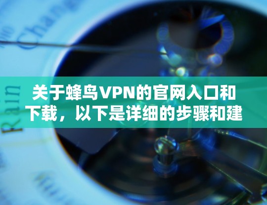 关于蜂鸟VPN的官网入口和下载，以下是详细的步骤和建议