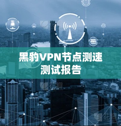 黑豹VPN节点测速测试报告