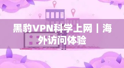 黑豹VPN科学上网｜海外访问体验