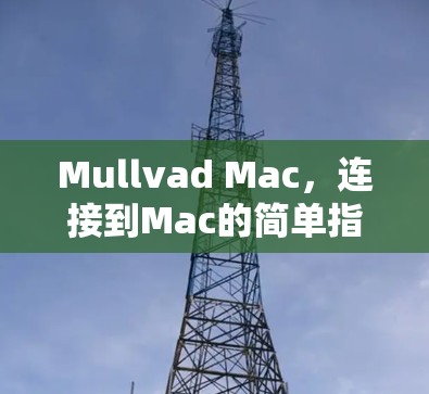Mullvad Mac，连接到Mac的简单指南