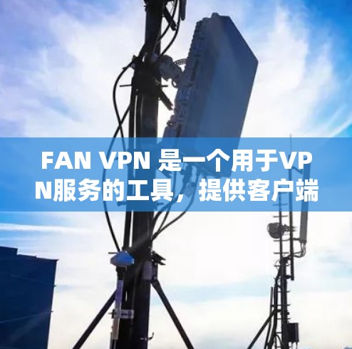 FAN VPN 是一个用于VPN服务的工具，提供客户端和服务器端下载选项。以下是访问FAN VPN官网的步骤和下载详细说明