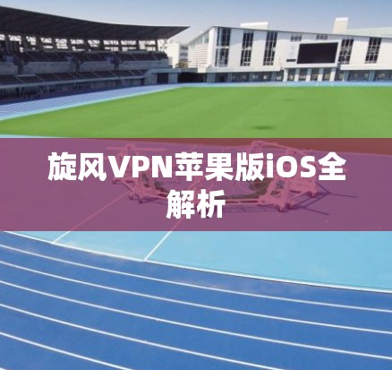 旋风VPN苹果版iOS全解析