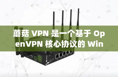 蘑菇 VPN 是一个基于 OpenVPN 核心协议的 Windows 系统下的VPN工具，旨在为用户提供本地电脑与远程服务器的VPN连接。以下是对蘑菇 VPN 的详细总结