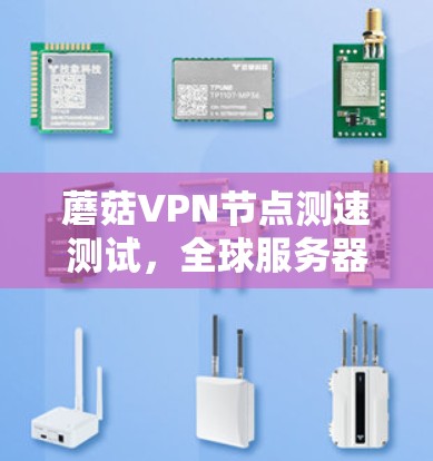 蘑菇VPN节点测速测试，全球服务器性能评估
