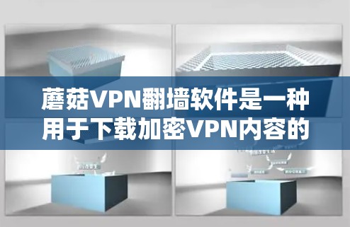 蘑菇VPN翻墙软件是一种用于下载加密VPN内容的软件，通常通过使用椭圆密钥或反椭圆密钥来隐藏VPN的来源。以下是一些关键点和建议，帮助您更好地使用蘑菇VPN翻墙软件