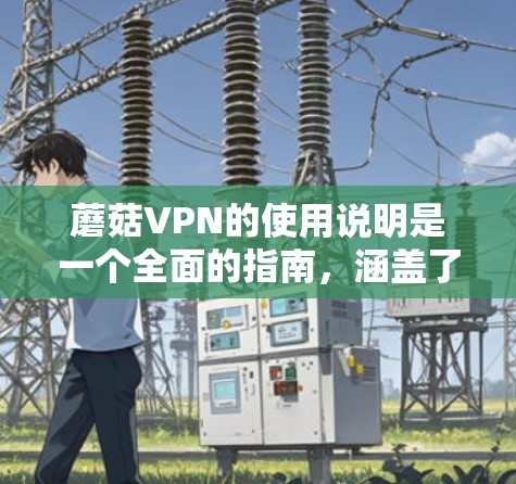 蘑菇VPN的使用说明是一个全面的指南，涵盖了从基础信息到高级功能的各个方面。以下是对蘑菇VPN使用说明的详细总结