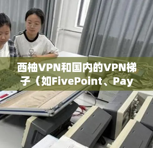 西柚VPN和国内的VPN梯子（如FivePoint、Payto等）都是近年来网络上备受关注的热门VPN产品，它们各有特色，适合不同用户的需求。以下从以下几个方面详细介绍