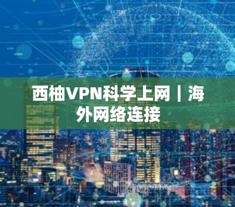 西柚VPN科学上网｜海外网络连接
