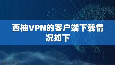 西柚VPN的客户端下载情况如下
