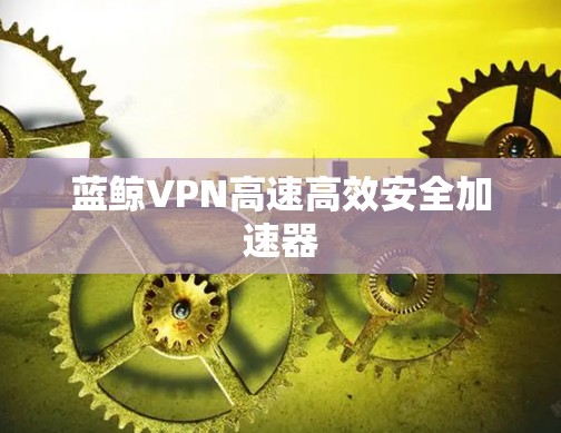 蓝鲸VPN高速高效安全加速器