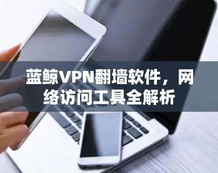 蓝鲸VPN翻墙软件，网络访问工具全解析