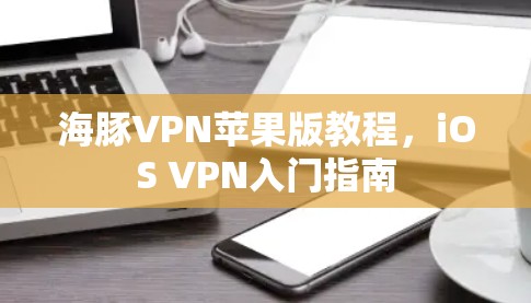 海豚VPN苹果版教程，iOS VPN入门指南