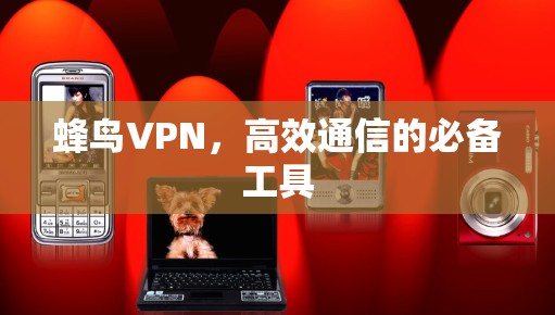 蜂鸟VPN，高效通信的必备工具