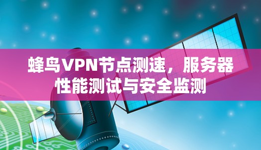 蜂鸟VPN节点测速，服务器性能测试与安全监测