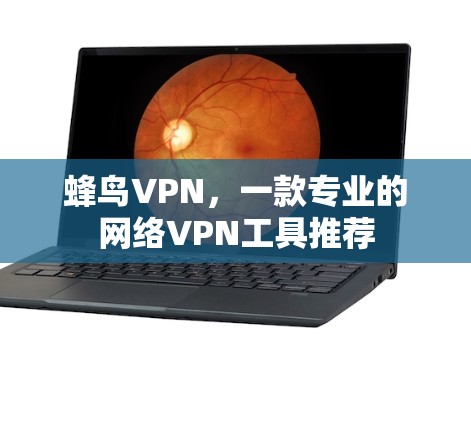 蜂鸟VPN，一款专业的网络VPN工具推荐