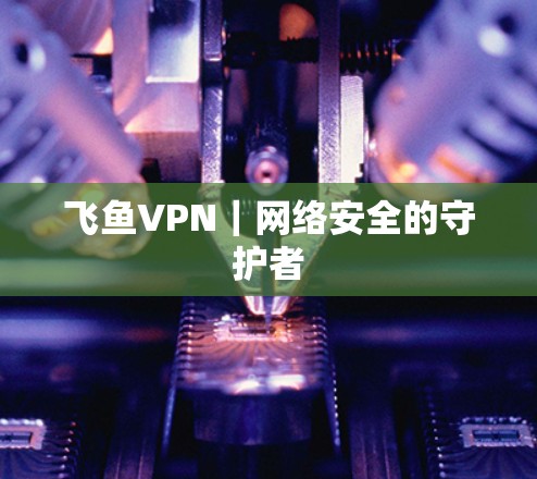 飞鱼VPN｜网络安全的守护者