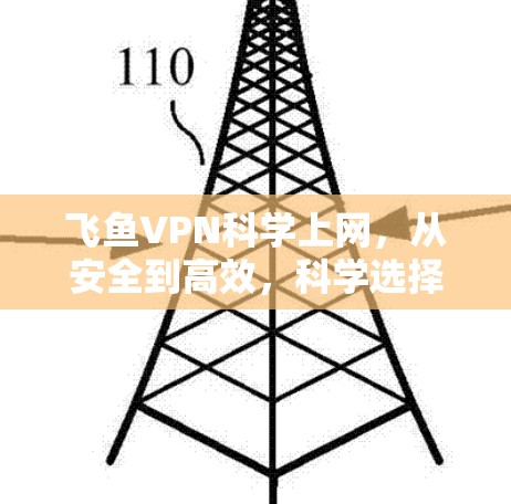 飞鱼VPN科学上网，从安全到高效，科学选择，助力您的网络出行